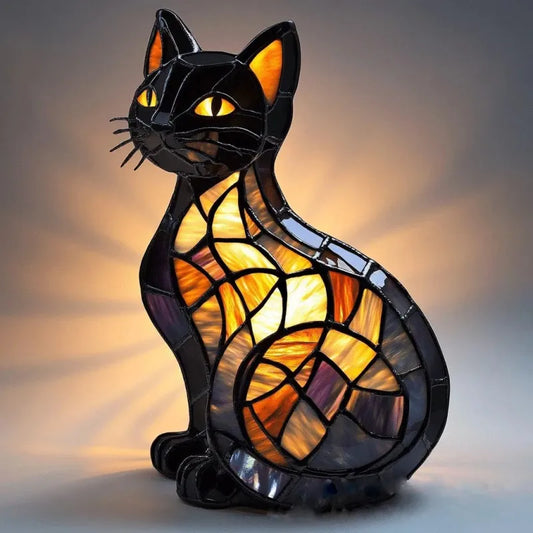 Gato Radiant Midnight
